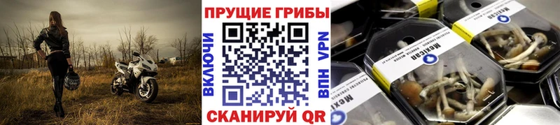 Галлюциногенные грибы мицелий  kraken ONION  Дмитров 