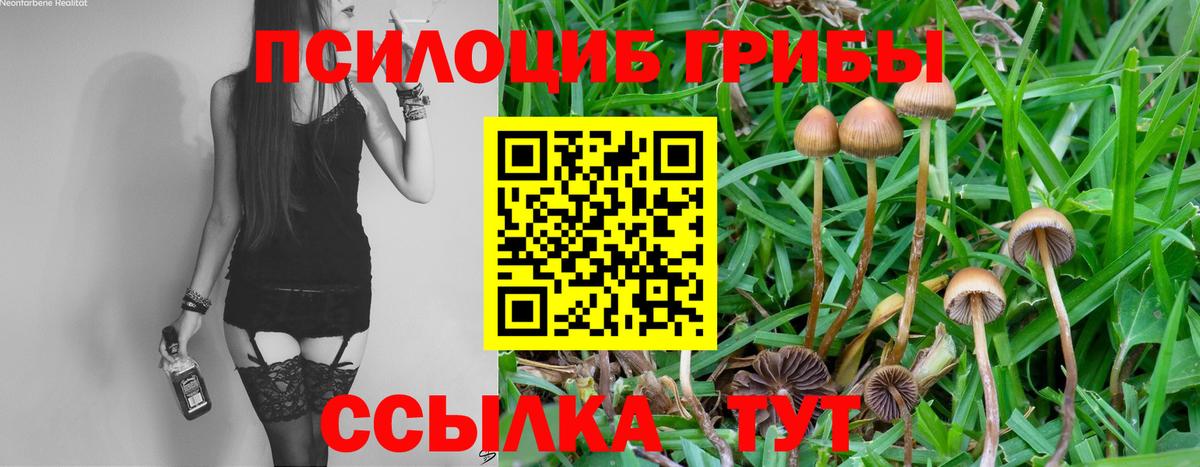 Конопля  Гашиш  Вход с VPN  Дмитров  МЕФ кристаллы 