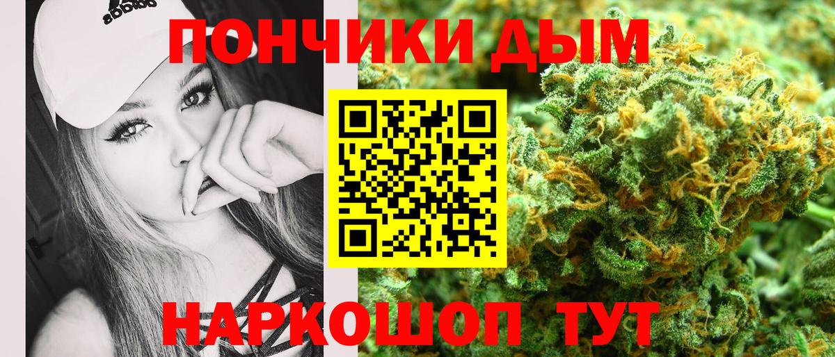 Бошки Шишки планчик Дмитров